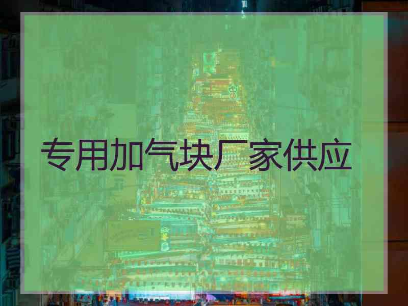 专用加气块厂家供应