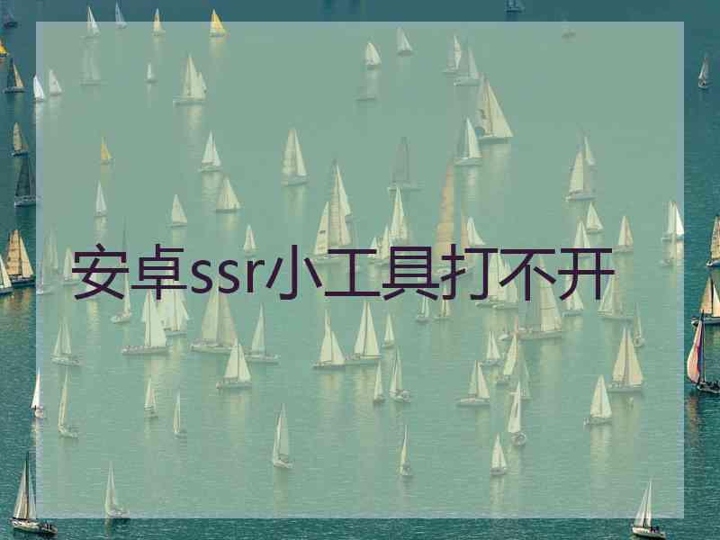 安卓ssr小工具打不开