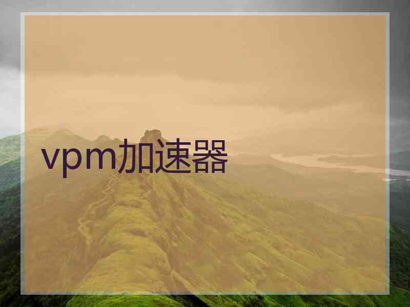 vpm加速器