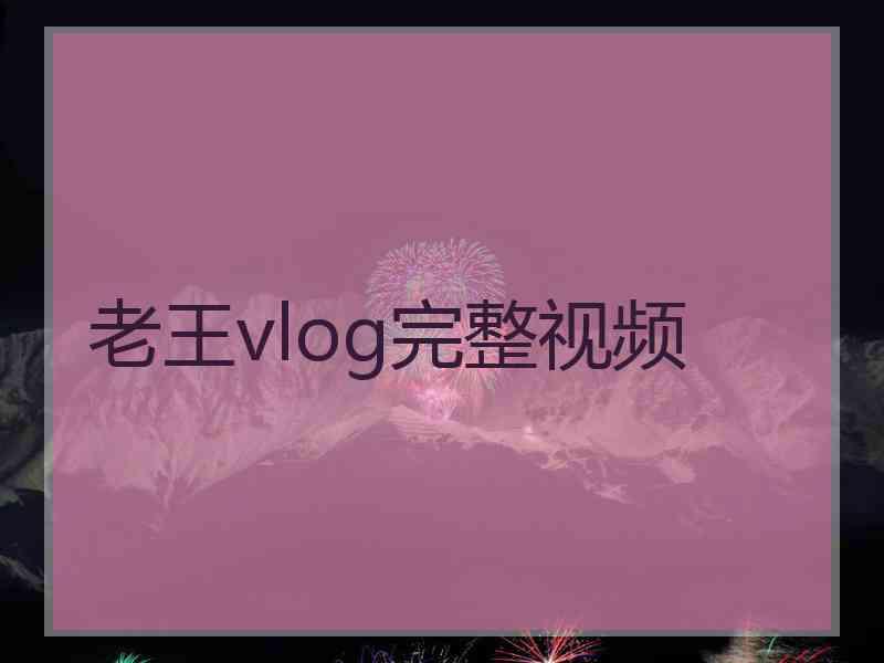 老王vlog完整视频