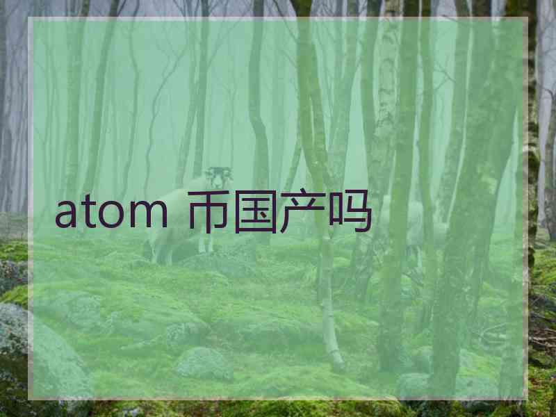 atom 币国产吗