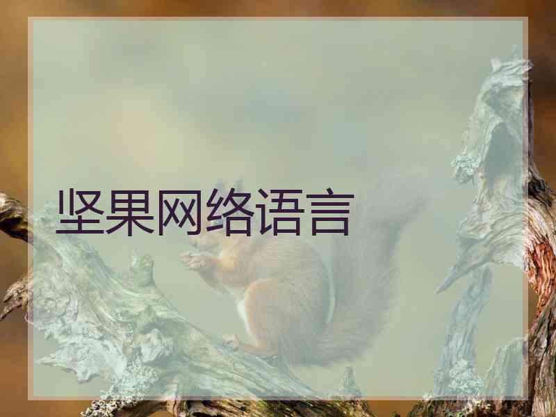 坚果网络语言