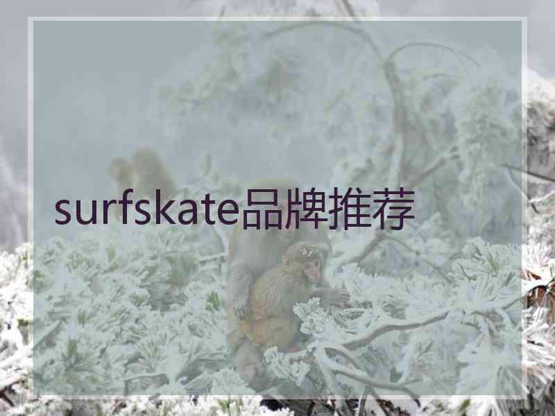 surfskate品牌推荐