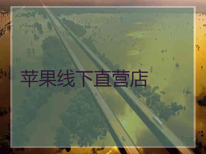 苹果线下直营店