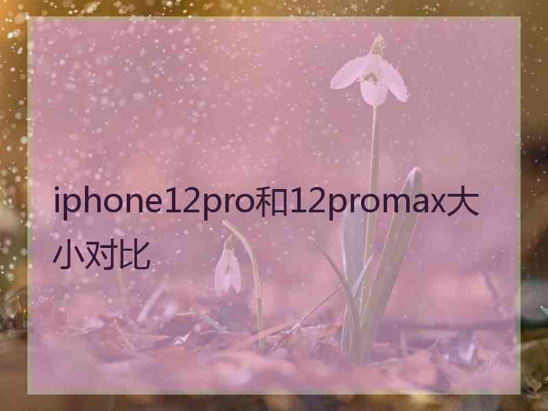 iphone12pro和12promax大小对比