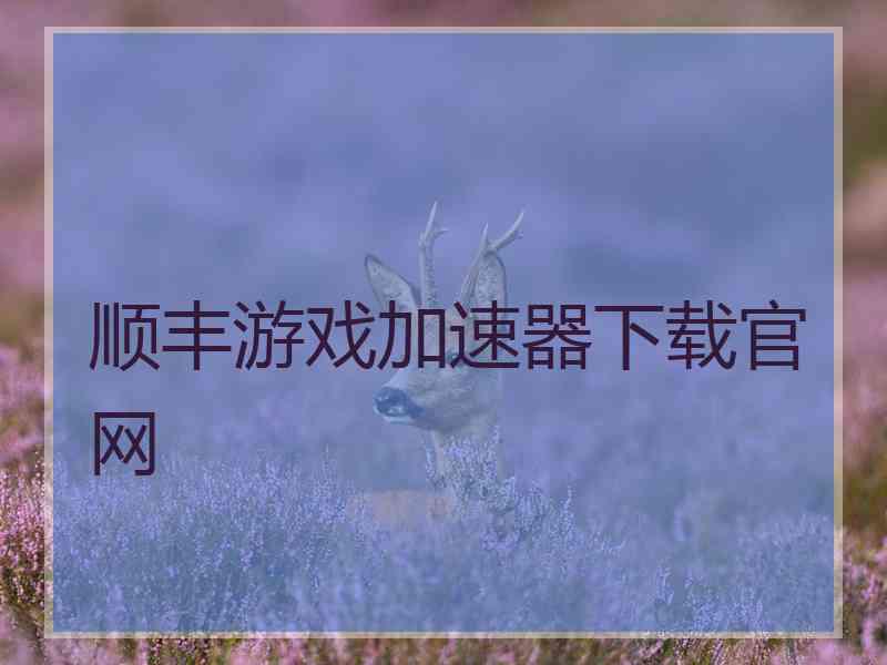 顺丰游戏加速器下载官网