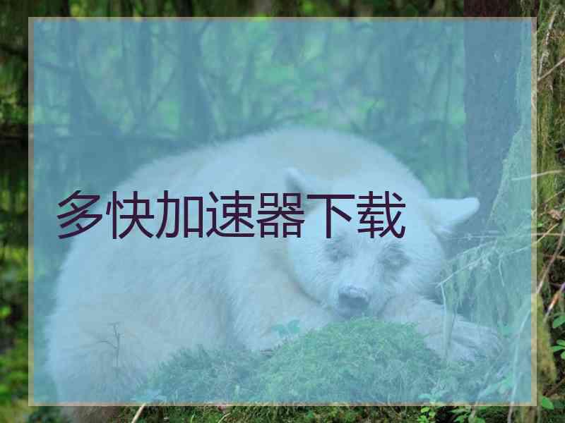 多快加速器下载