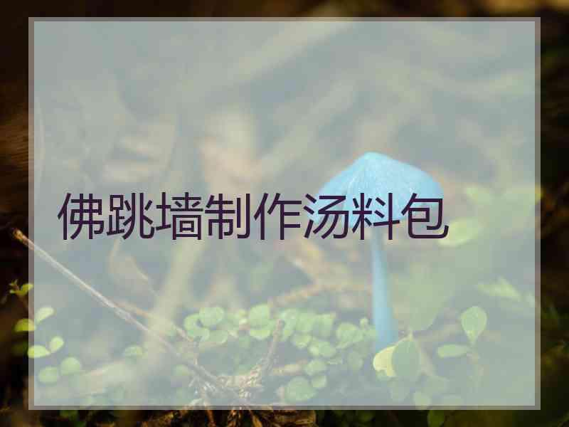 佛跳墙制作汤料包