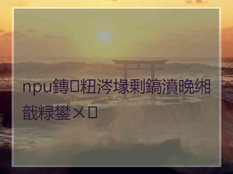 npu鏄粈涔堟剰鎬濆晩缃戠粶鐢ㄨ