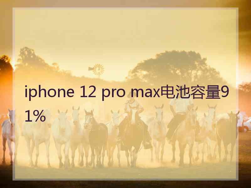iphone 12 pro max电池容量91%