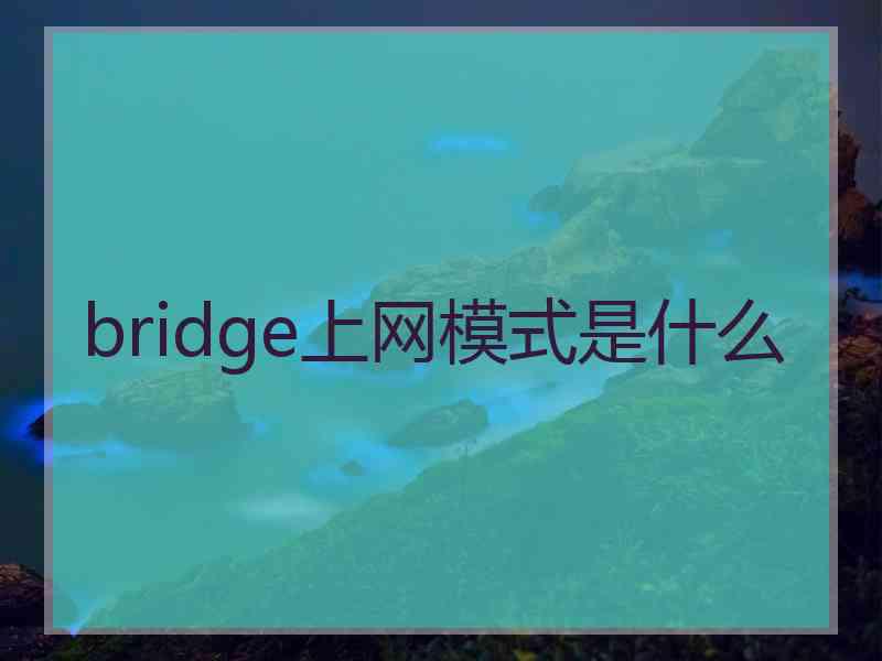bridge上网模式是什么