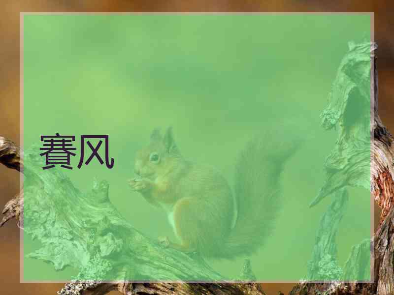 賽风