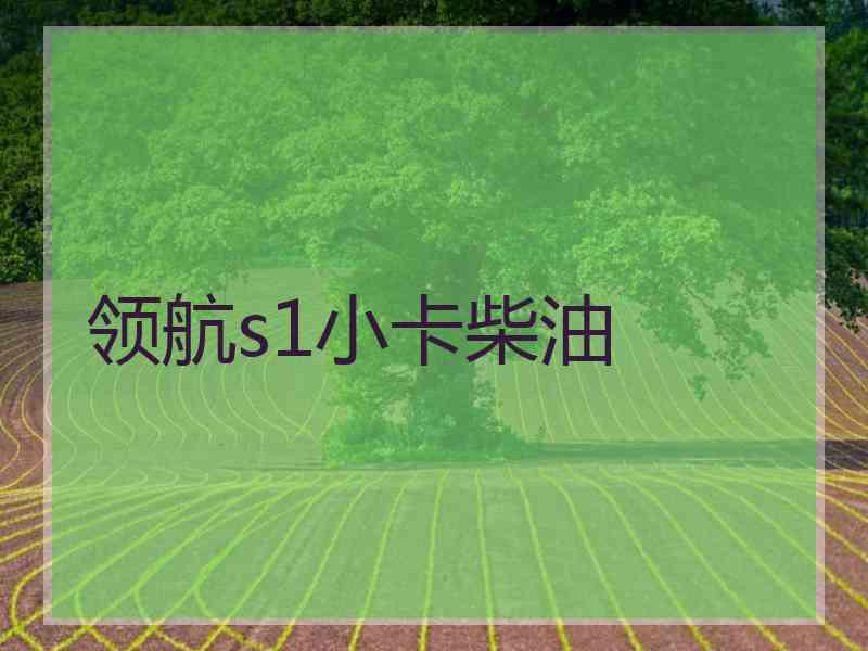 领航s1小卡柴油