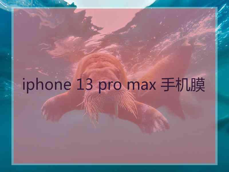 iphone 13 pro max 手机膜