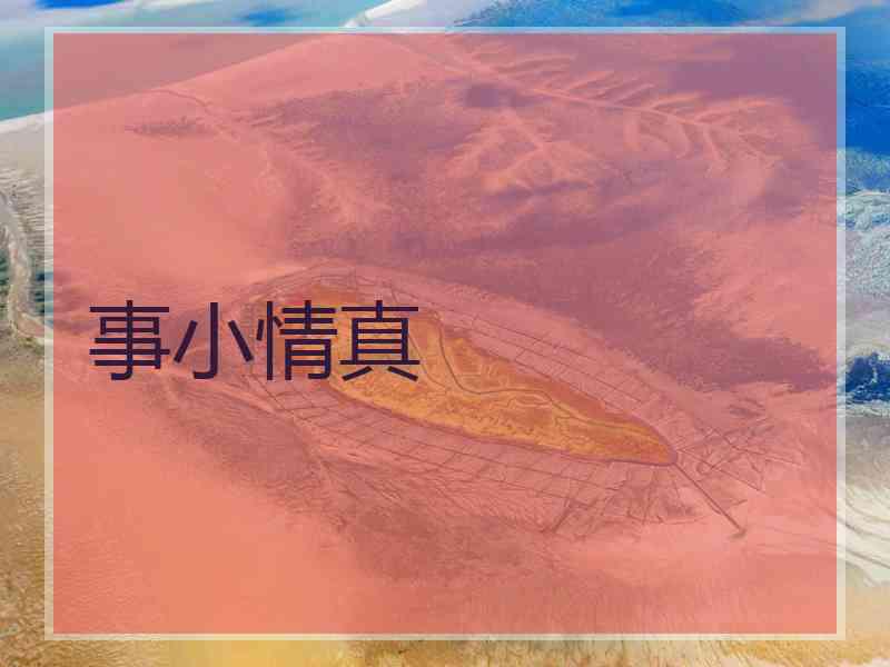 事小情真