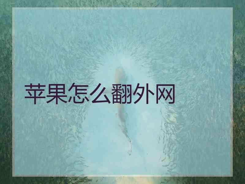 苹果怎么翻外网