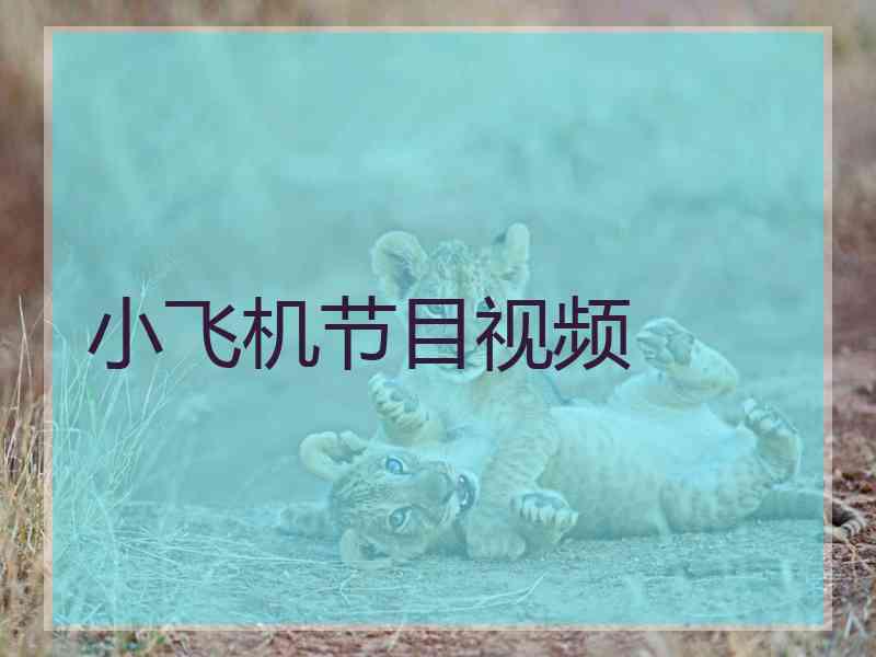 小飞机节目视频