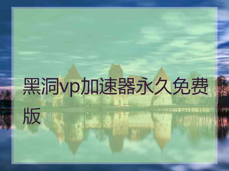黑洞vp加速器永久免费版