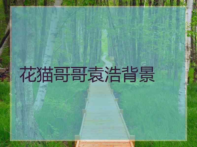 花猫哥哥袁浩背景