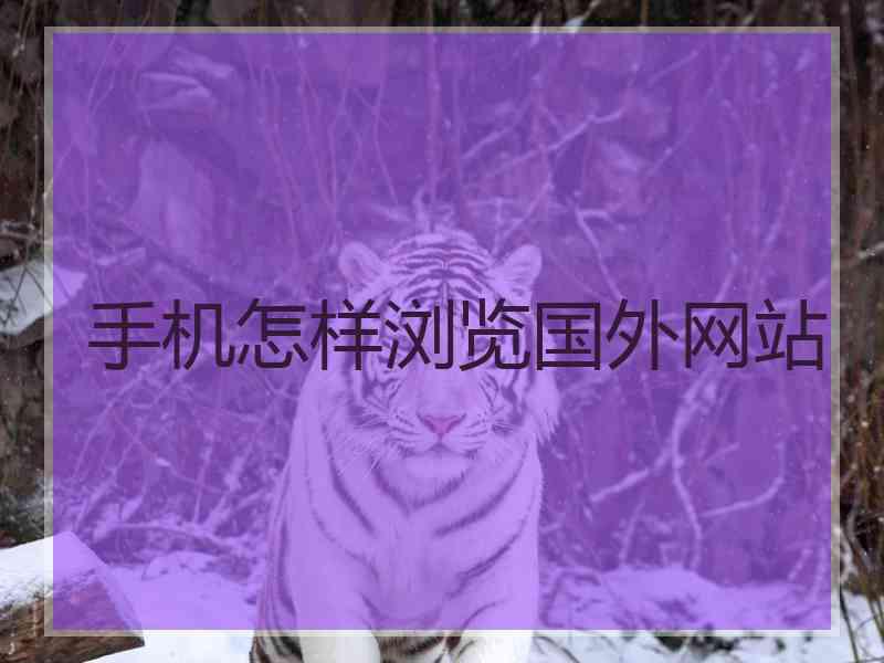 手机怎样浏览国外网站