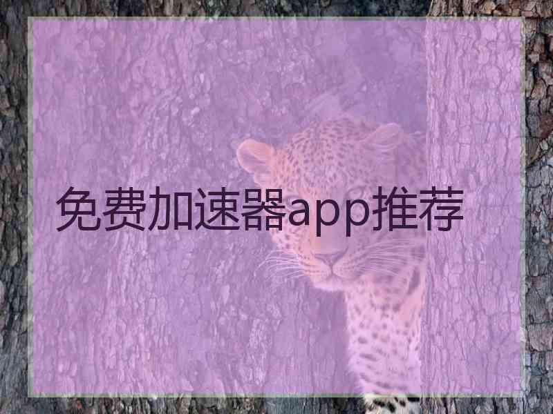 免费加速器app推荐