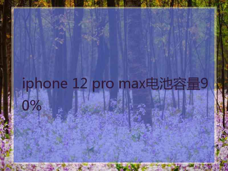 iphone 12 pro max电池容量90%