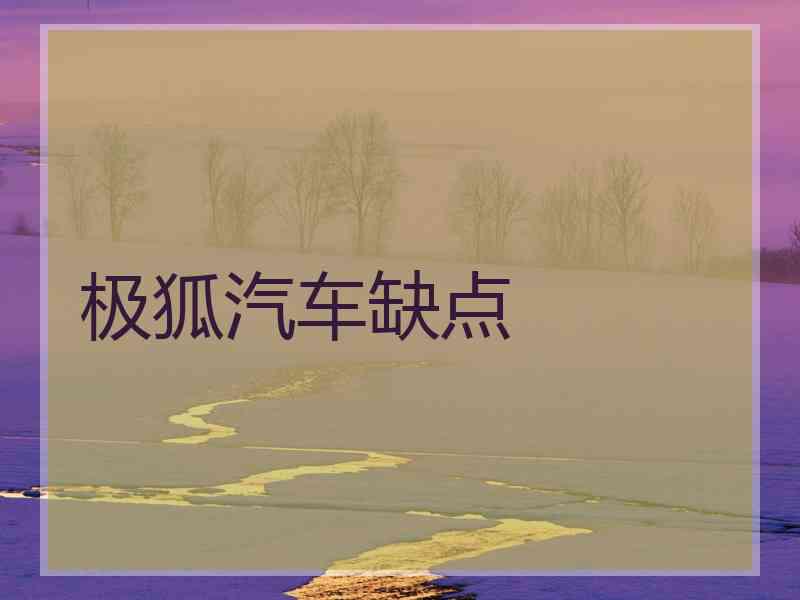 极狐汽车缺点