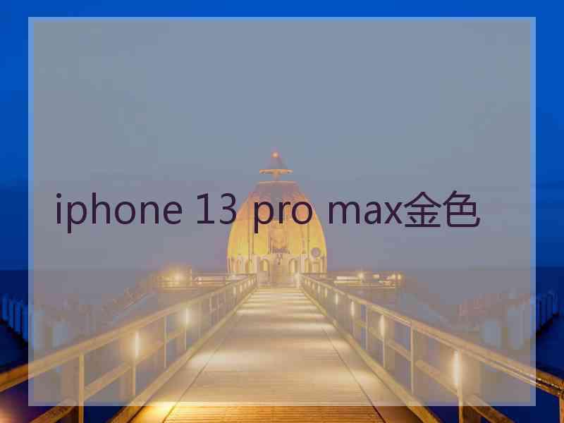 iphone 13 pro max金色