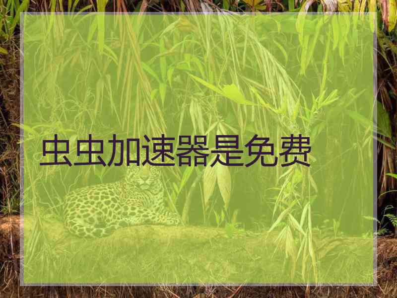 虫虫加速器是免费