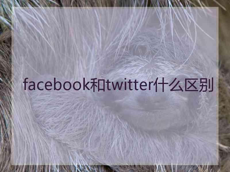 facebook和twitter什么区别