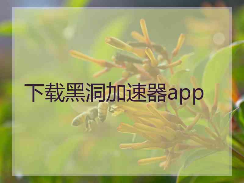 下载黑洞加速器app