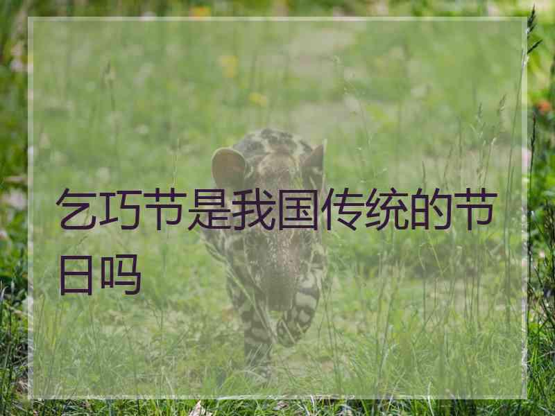 乞巧节是我国传统的节日吗