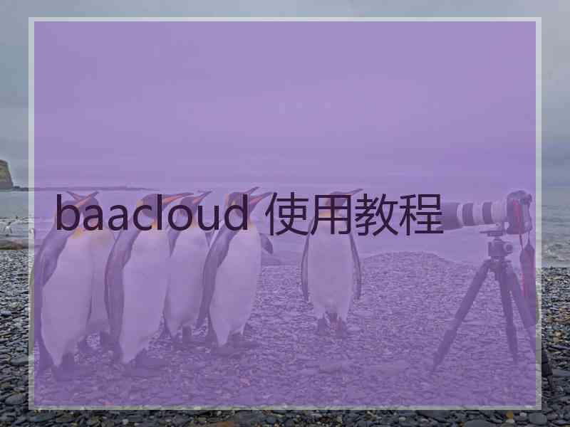 baacloud 使用教程