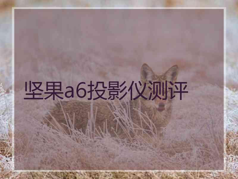 坚果a6投影仪测评