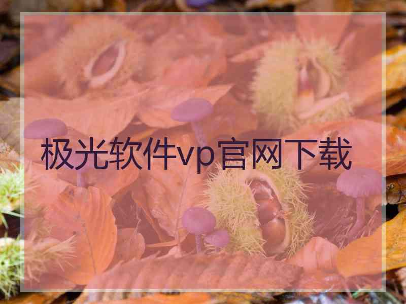 极光软件vp官网下载