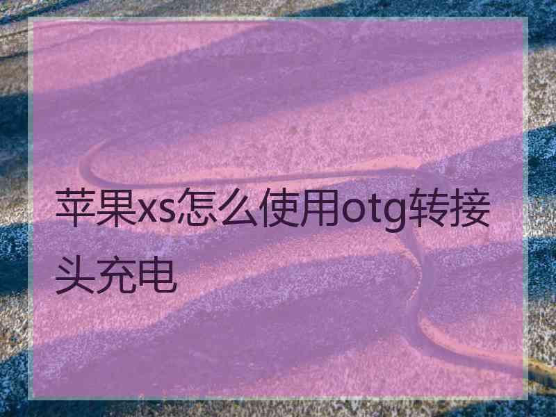 苹果xs怎么使用otg转接头充电