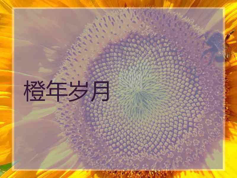橙年岁月