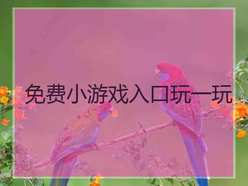 免费小游戏入口玩一玩
