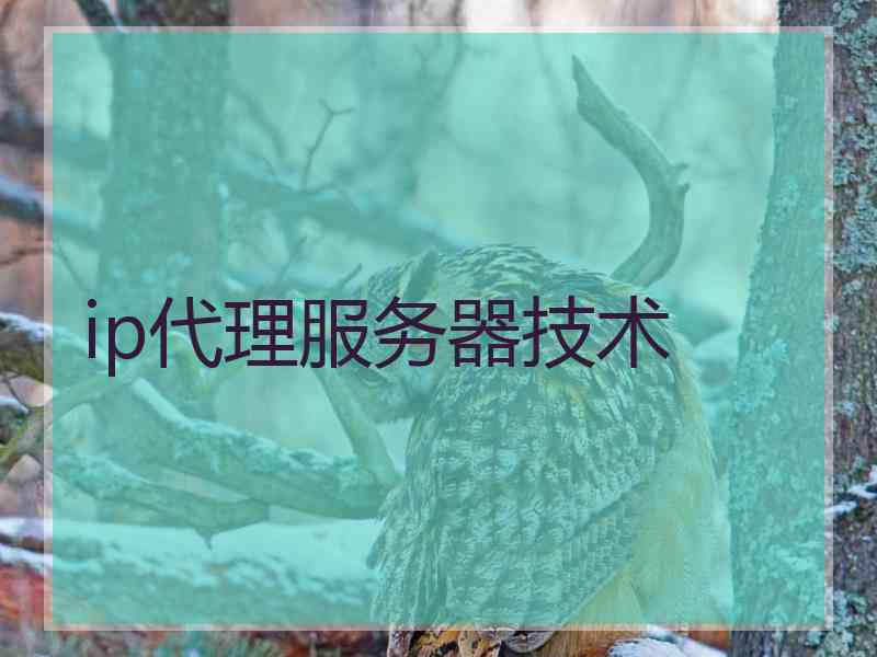 ip代理服务器技术