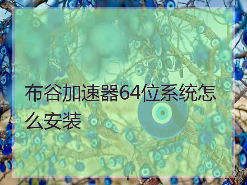 布谷加速器64位系统怎么安装