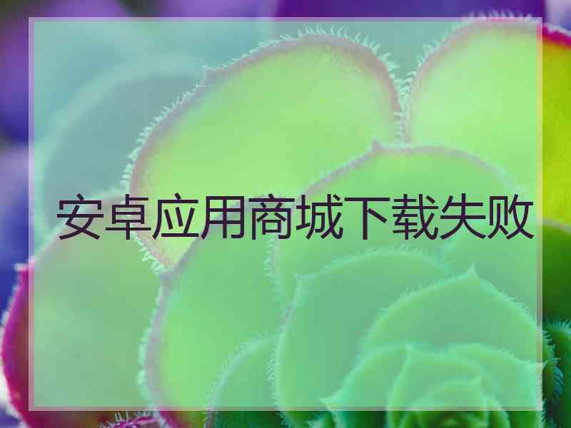 安卓应用商城下载失败