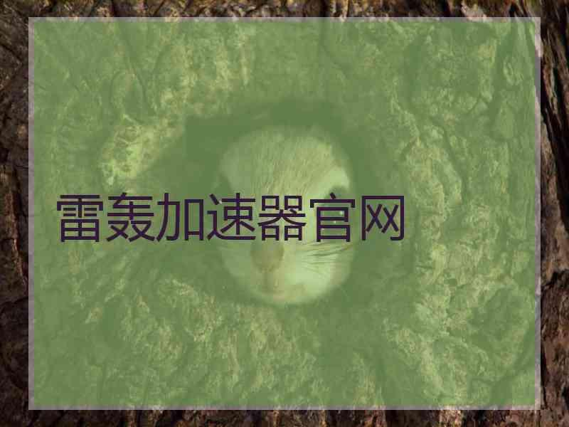雷轰加速器官网