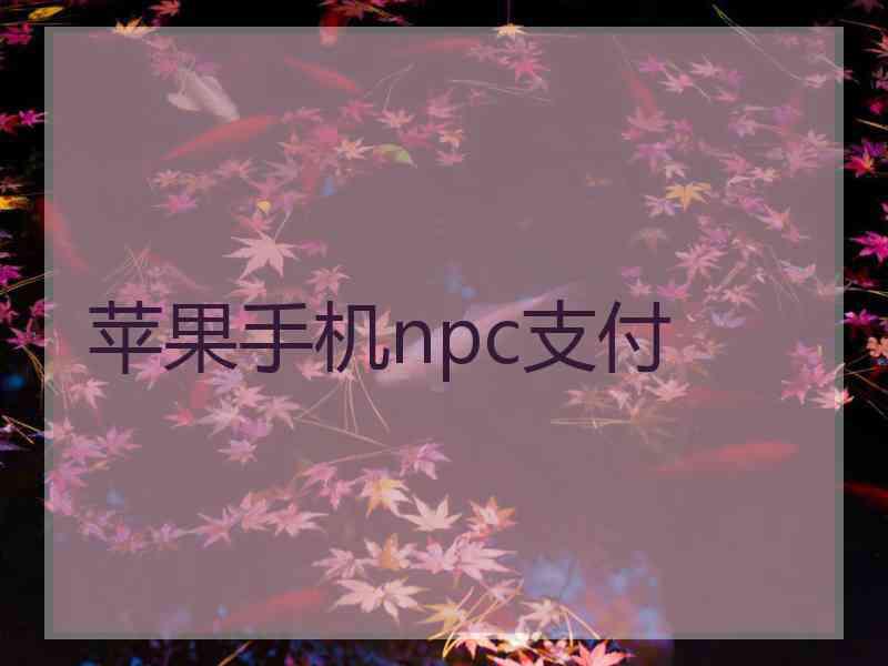 苹果手机npc支付