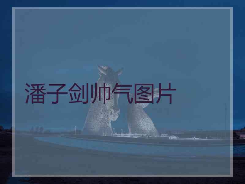 潘子剑帅气图片