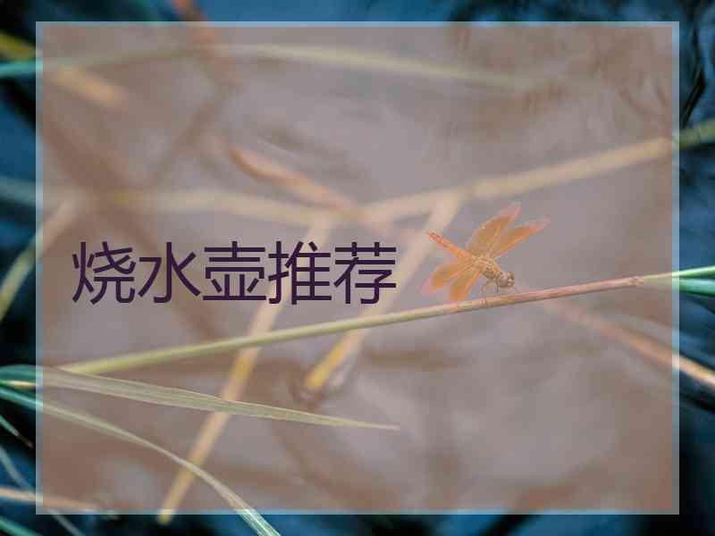 烧水壶推荐