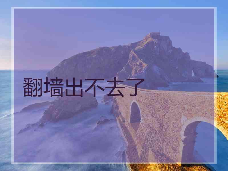 翻墙出不去了