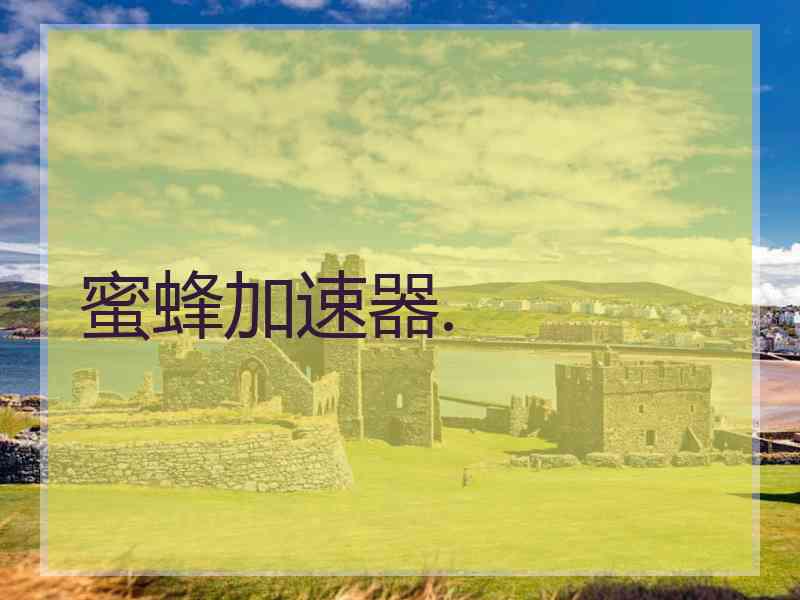 蜜蜂加速器.