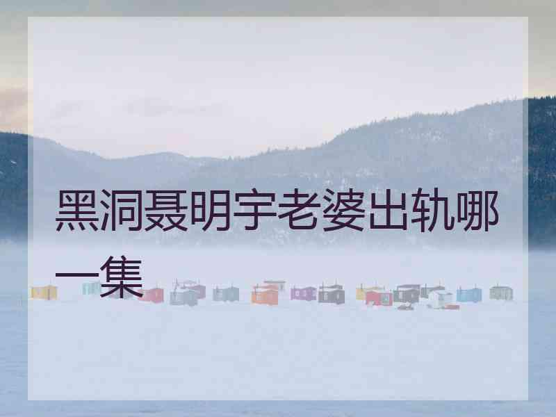 黑洞聂明宇老婆出轨哪一集