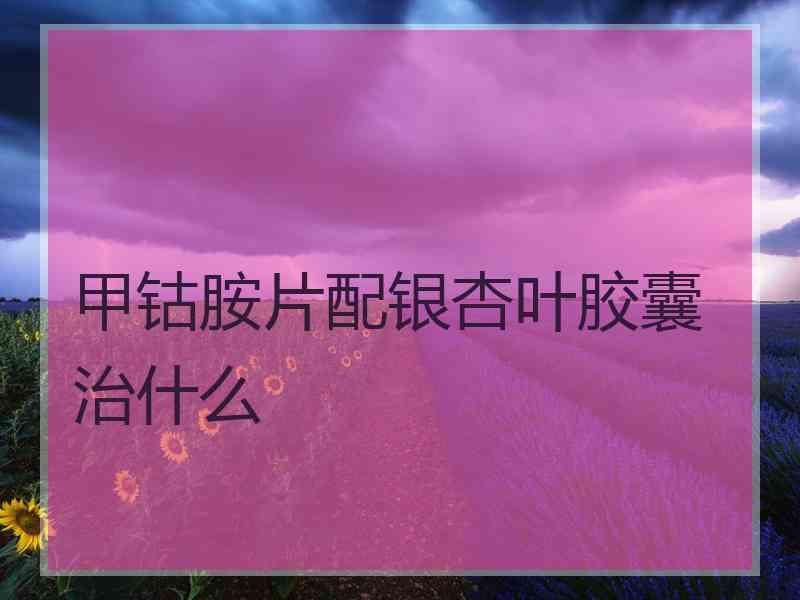 甲钴胺片配银杏叶胶囊治什么
