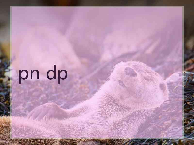 pn dp